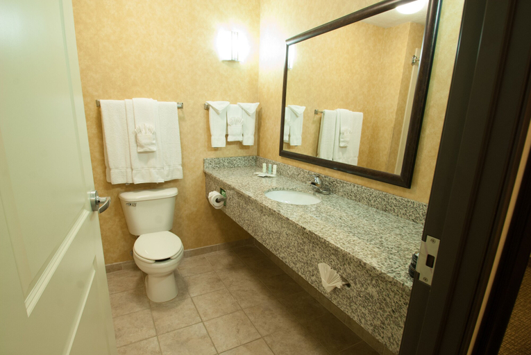 Bathroom 4, Comfort Suites Speedway - Kansas City, Kansas City