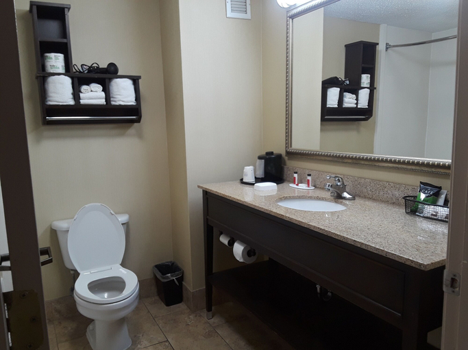 Bathroom 4, Baymont by Wyndham Saraland, Mobile