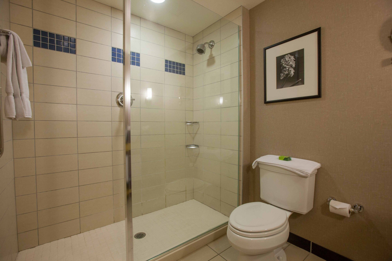 Bathroom 4, Wyndham Noblesville, Hamilton
