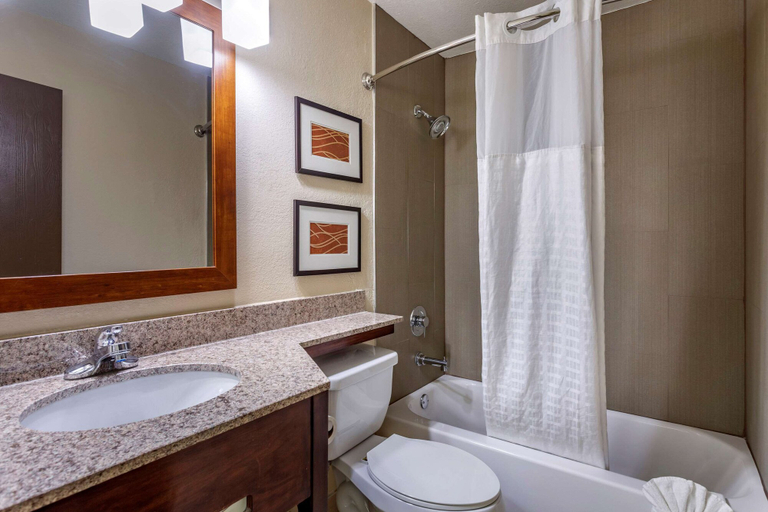 Bathroom 4, Comfort Inn Nashville West, Davidson