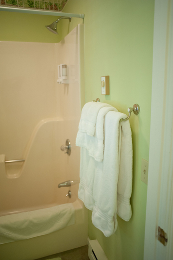 Bathroom 4, The Green Tree Inn, Jerseyville