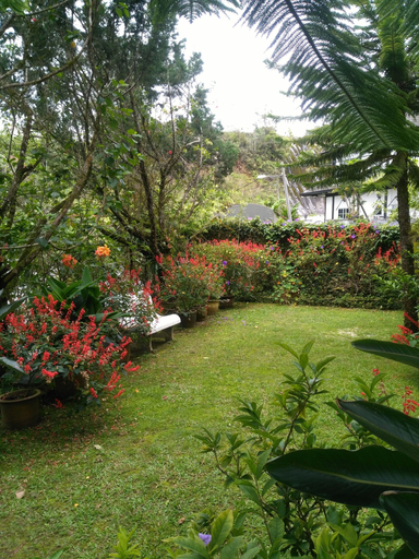 Others 4, KRS Pines, Cameron Highlands