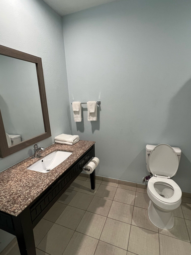 Bathroom 4, Americas Best Value Inn Sulphur, Calcasieu
