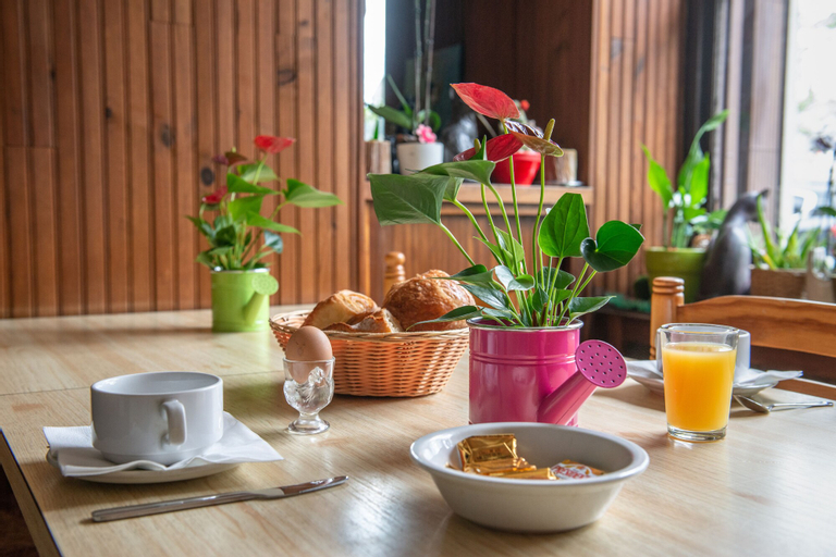 Food & Drinks 6