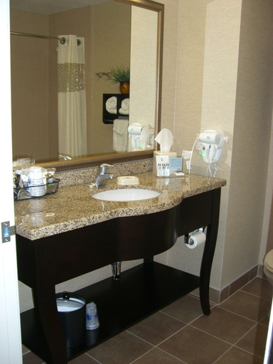 Bathroom 5, Hampton Inn & Suites Pueblo/North, Pueblo