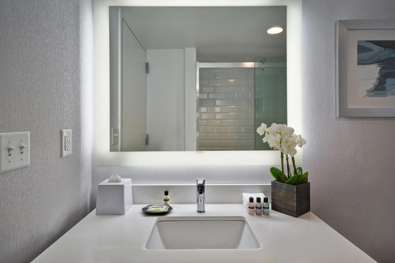 Bathroom 4, Four Points by Sheraton Boston Newton, Middlesex