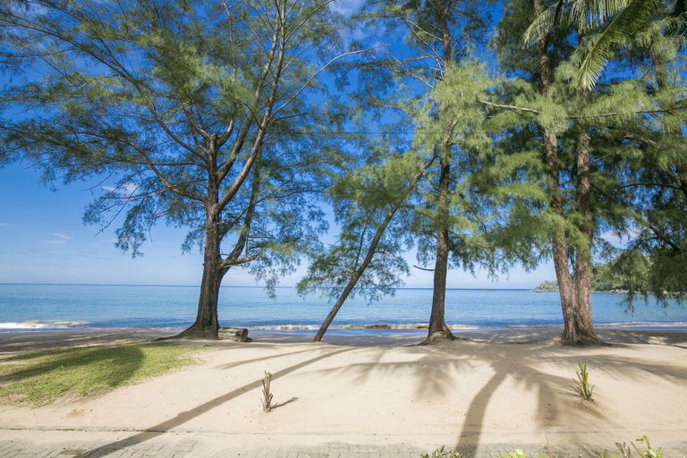 Others 3, The Anda Mani Khaolak Beachfront Villas, Thai Mueang