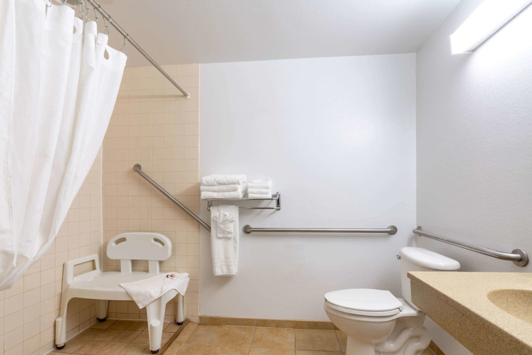 Bathroom 4, Microtel Inn & Suites by Wyndham Raton, Colfax