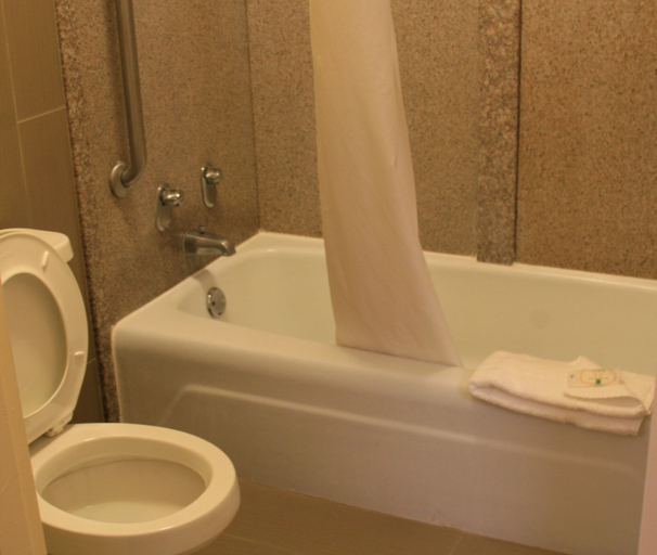 Bathroom 5, Quality Inn Americus, Sumter