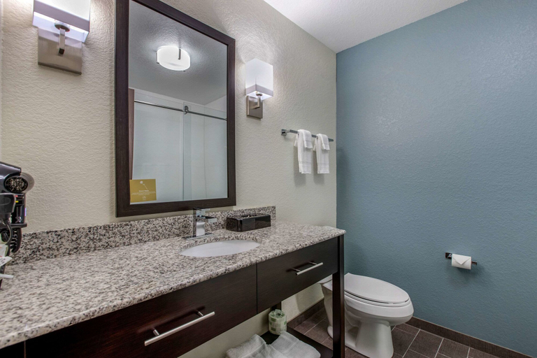 Bathroom 4, Sleep Inn & Suites Ankeny - Des Moines, Polk