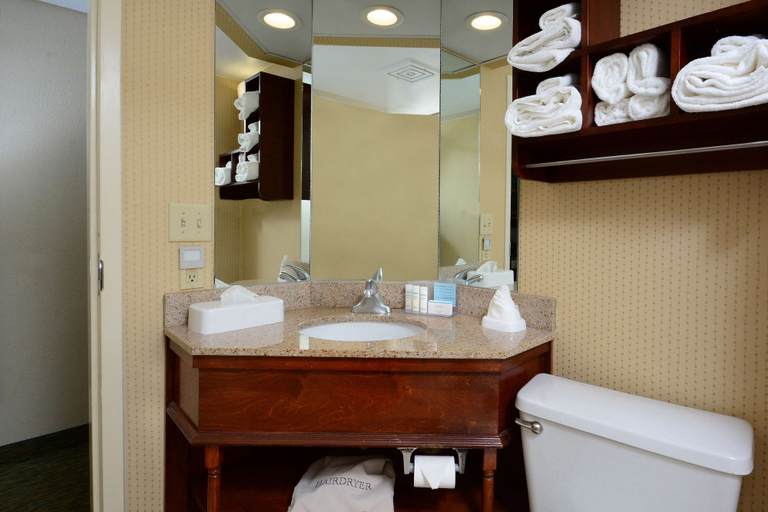 Bathroom 4, Hampton Inn Raleigh/Town Of Wake Forest, Wake