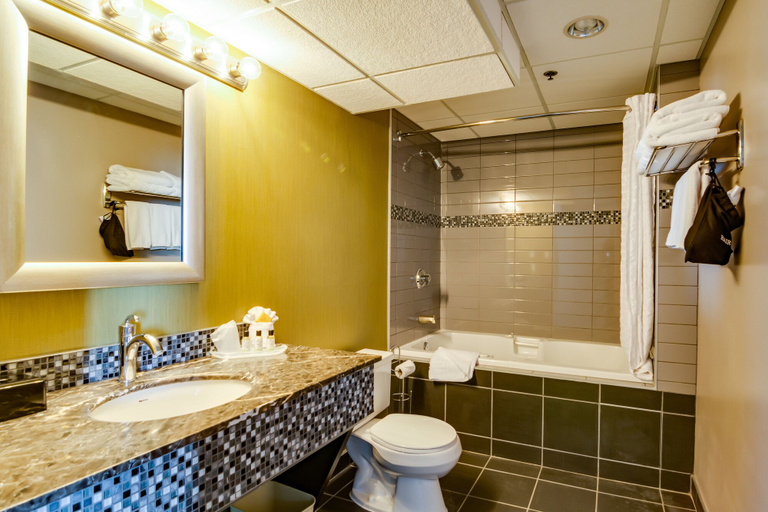 Bathroom 5, Sawridge Inn & Conference Centre Edmonton South, Division No. 11