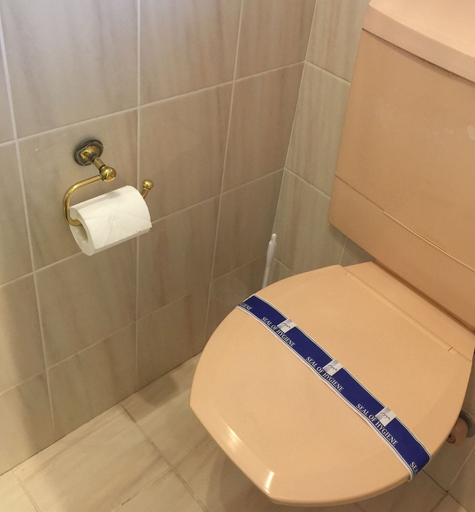 Bathroom 3, Bucklands Beach Waterfront Motel, Manukau