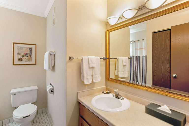 Bathroom 5, La Quinta Inn & Suites by Wyndham Stevens Point, Portage
