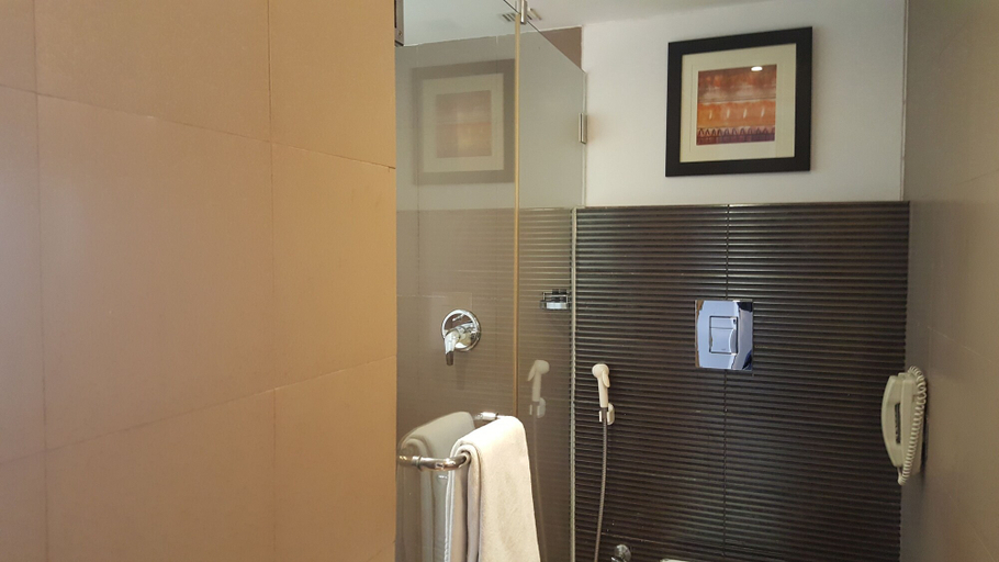 Bathroom 4, Royal Orchid Central, Vadodara, Vadodara