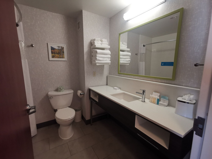Bathroom 3, Hampton Inn & Suites Colorado Springs/Air Force Academy, El Paso