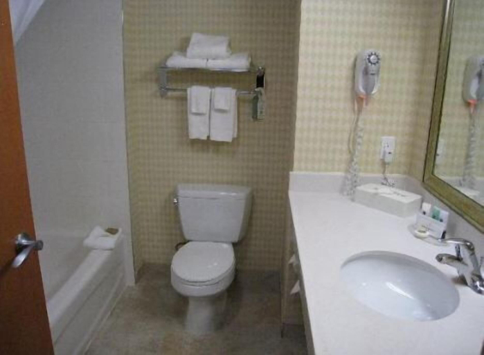 Bathroom 4, Days Inn & Suites by Wyndham Edmonton Airport, Division No. 11