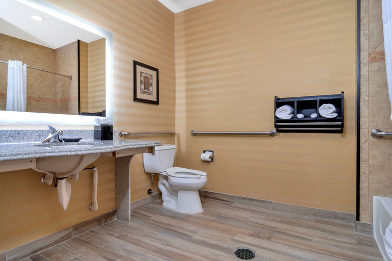 Bathroom 4, Hampton Inn & Suites Fort Worth-Fossil Creek, Fort Worth