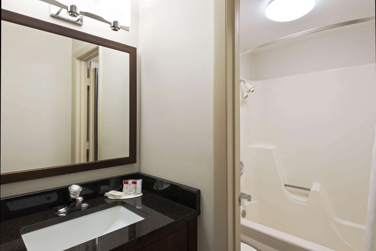 Bathroom 4, Ramada by Wyndham Boston, Boston