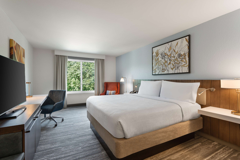 Bedroom 3, Hilton Garden Inn Melville, Nassau