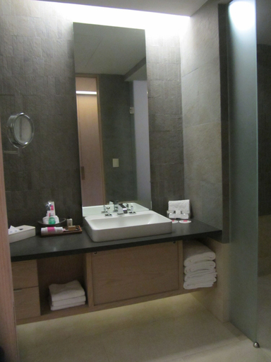 Bathroom 5, Galeria Plaza Reforma, Mexico City