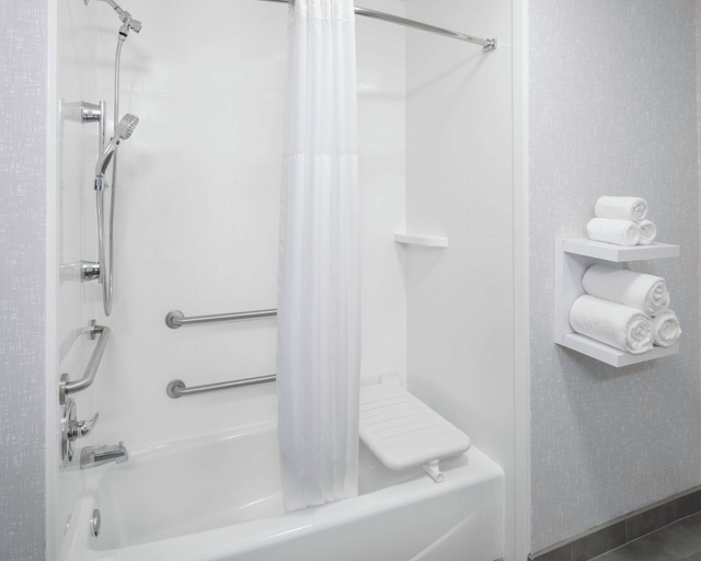 Bathroom 4, Hampton Inn & Suites Lubbock Southwest, Lubbock