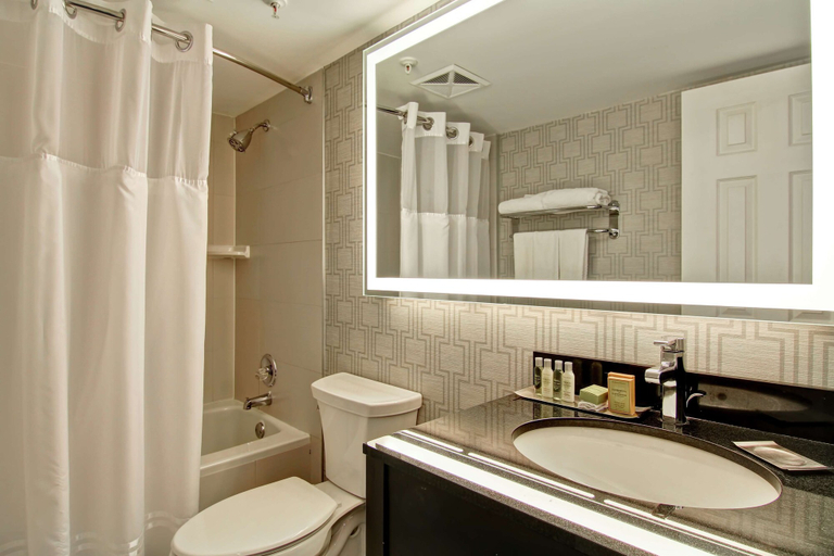Bathroom 5, DoubleTree by Hilton Hotel Toronto Downtown, Toronto