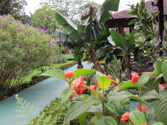 Others 5, Arenal Montechiari Hotel, San Carlos