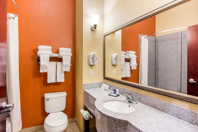 Bathroom 4, Sleep Inn & Suites Athens South, Clarke