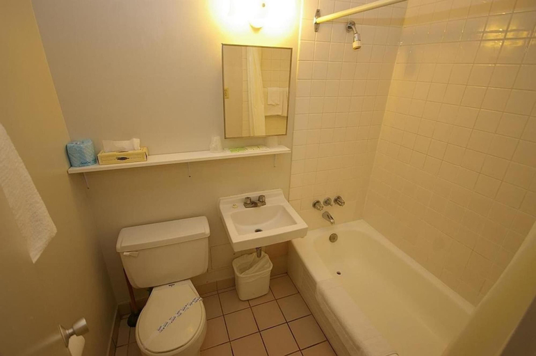 Bathroom 4, Alexandra Hotel, Toronto