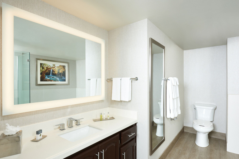 Bathroom 5, DoubleTree by Hilton Hotel Flagstaff, Coconino