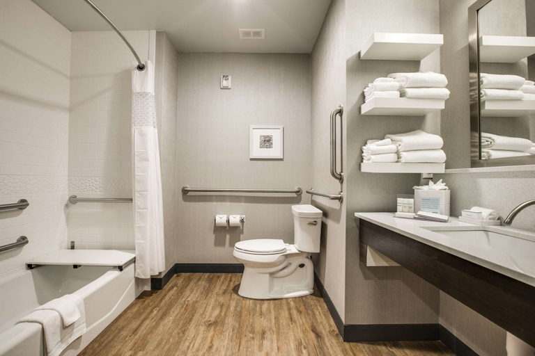 Bathroom 4, Hampton Inn & Suites Dallas/Ft. Worth Airport South, Fort Worth