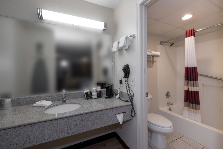 Bathroom 5, Red Roof Inn Dothan, Houston