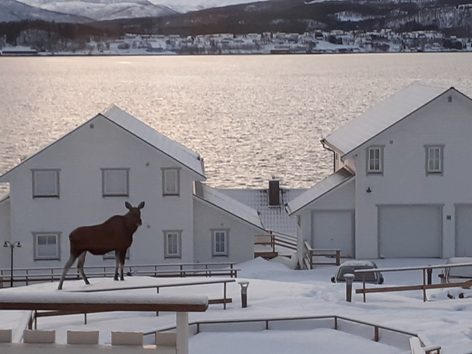 Others 4, Furoy Hotel Apartments and Boating, Sørreisa