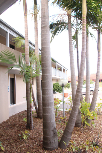 Exterior & Views 2, Galaxy Motel, Gosford - West