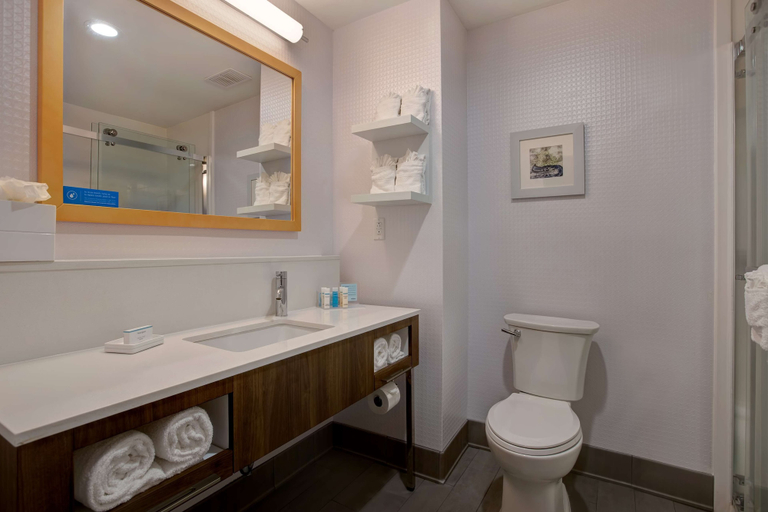 Bathroom 4, Hampton Inn Olive Branch, Desoto