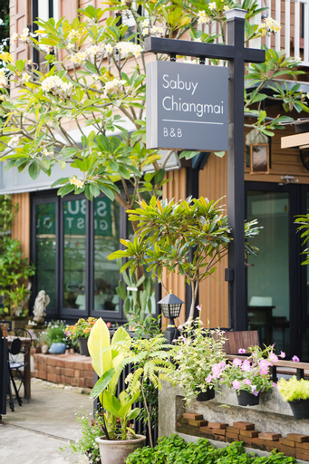 Sabuy Chiangmai, Muang Chiang Mai