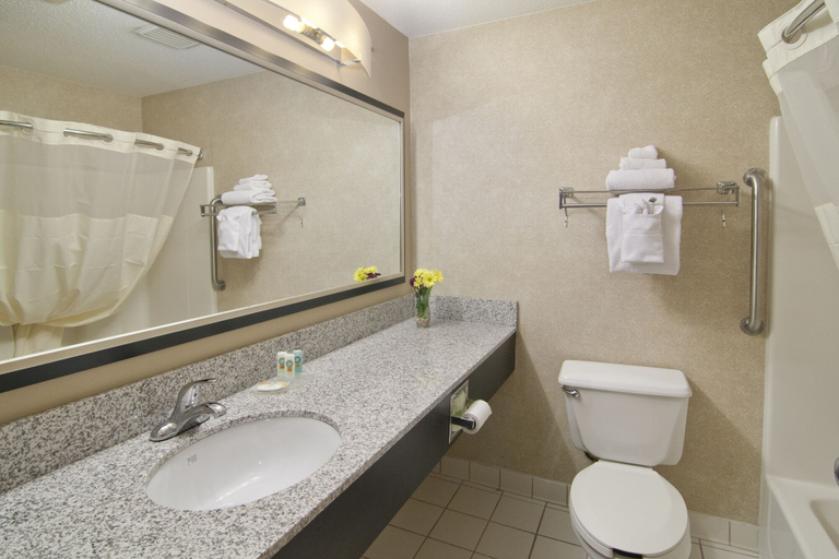 Bathroom 4, Quality Inn Brooklyn Center, Hennepin