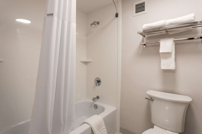 Bathroom 5, Comfort Inn & Suites Buffalo Airport, Erie