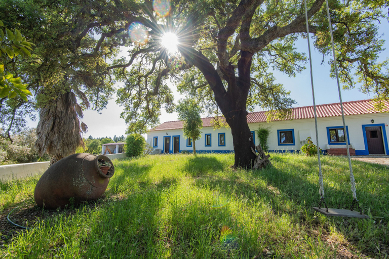Exterior & Views 2, MyStay - Herdade do Vale da Abelheira, Sines