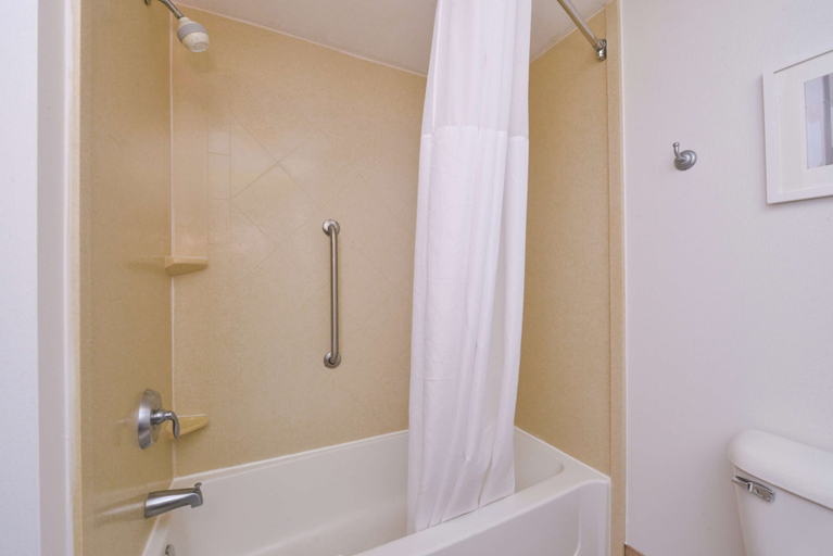 Bathroom 5, Hampton Inn & Suites Wilmington, Clinton