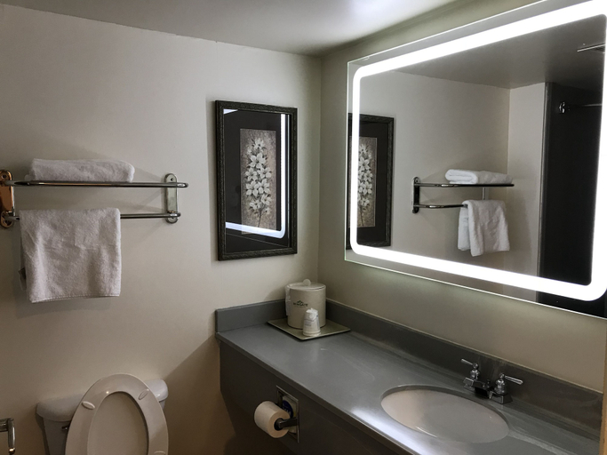 Bathroom 4, Wingate by Wyndham Augusta/Fort Eisenhower, Richmond