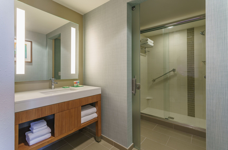 Bathroom 5, Hyatt Place Houston/Galleria, Houston