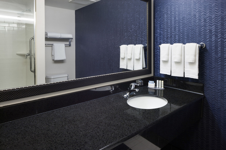 Bathroom 4, Fairfield by Marriott Inn & Suites Austin Parmer/Tech Ridge, Travis