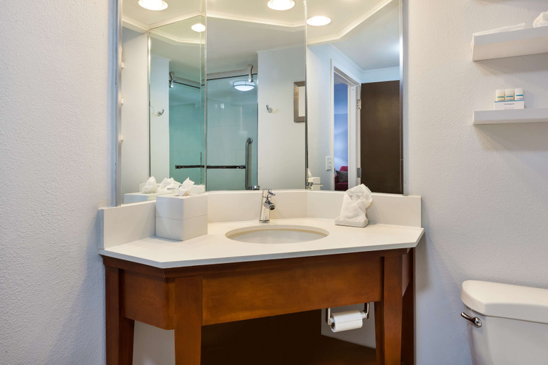 Bathroom 5, Hampton Inn Columbus/Delaware I-71 North, Delaware