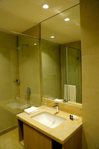 Bathroom 5, Tivoli Garden Resort, Delhi