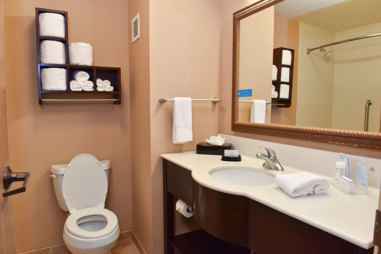 Bathroom 4, Hampton Inn Ruston, Lincoln