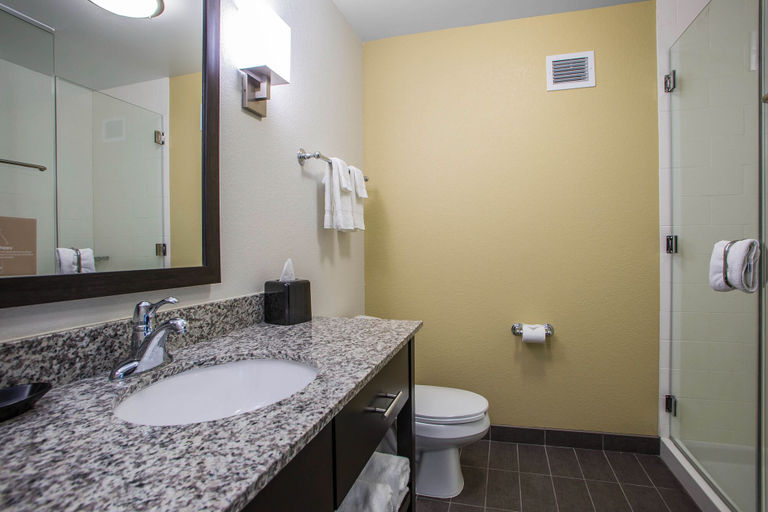 Bathroom 4, Sleep Inn & Suites Hannibal West, Marion