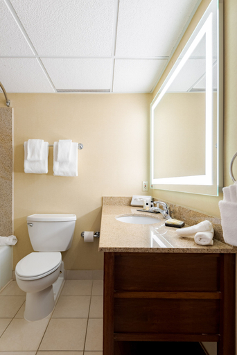 Bathroom 5, Wyndham Omaha / West Dodge, Douglas