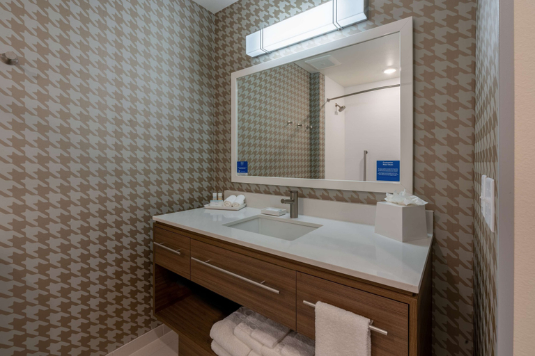 Bathroom 4, Home2 Suites by Hilton Pocatello, ID, Bannock